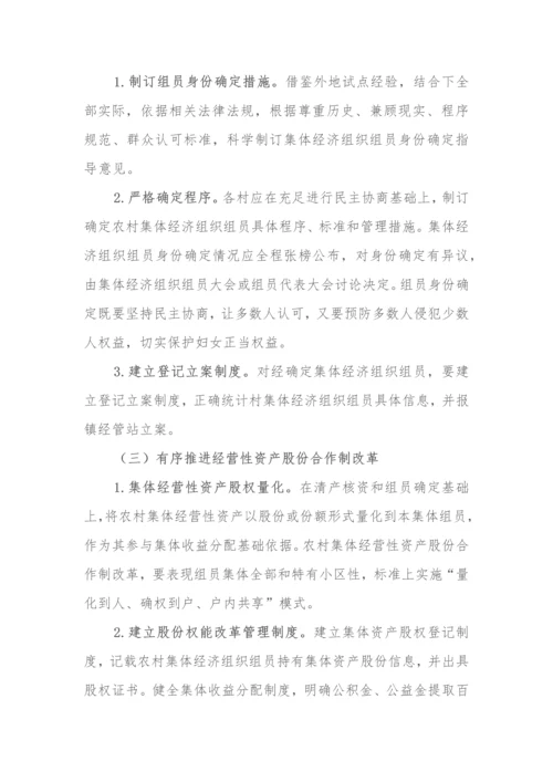 村农村集体产权核心制度改革实施专业方案.docx