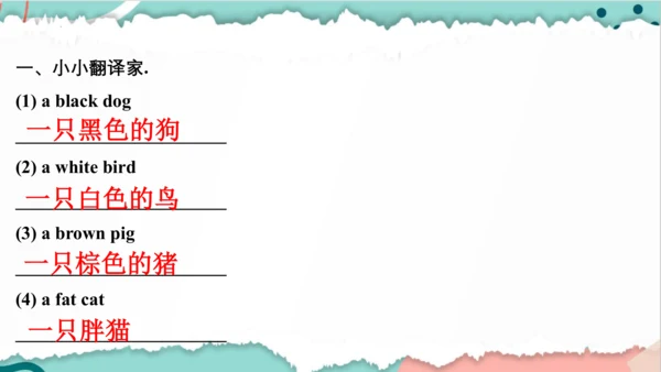 Unit 4 We love animals 复习课件(共44张PPT)