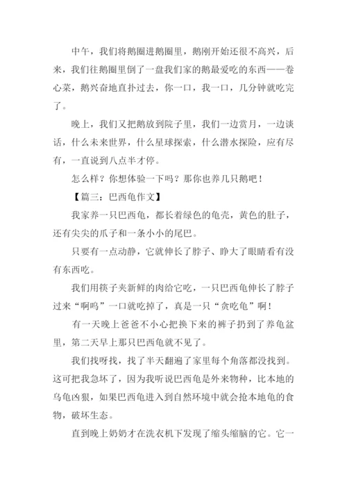 四年级动物作文大全300字.docx