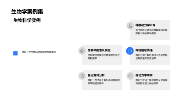 微积分理论与实践PPT模板