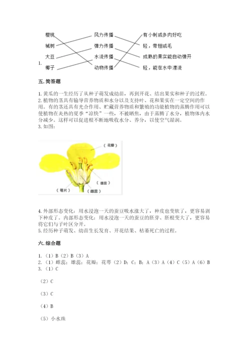 科学四年级下册第一单元《植物的生长变化》测试卷附完整答案【名校卷】.docx