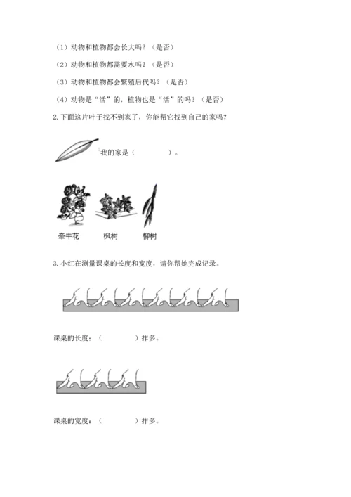 教科版小学一年级上册科学期末测试卷（名师系列）.docx