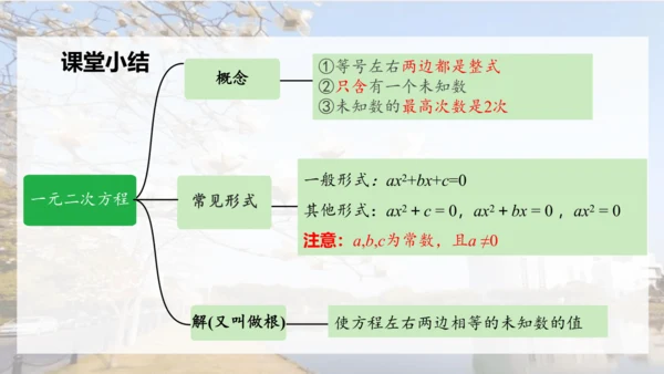人教版数学九年级上册21.1 一元二次方程课件（共24张PPT）