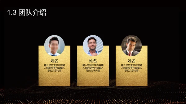 黑金奢华创业计划书通用PPT模板