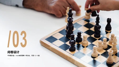 国际象棋项目市场调研分析PPT案例