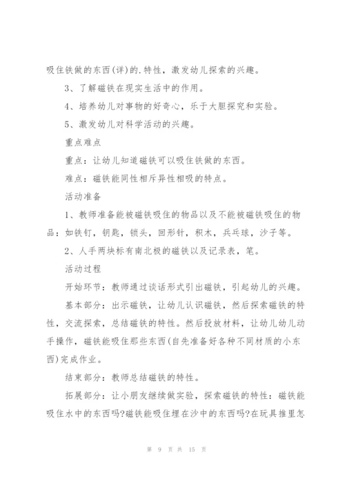 幼儿园大班《磁铁》科学教案5篇.docx