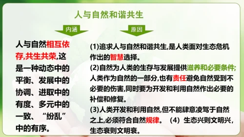 6.2共筑生命家园 课件(共30张PPT)