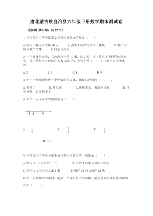 肃北蒙古族自治县六年级下册数学期末测试卷完整版.docx