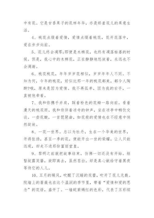 描写玫瑰花瓣的句子.docx