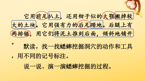11 蟋蟀的住宅  课件