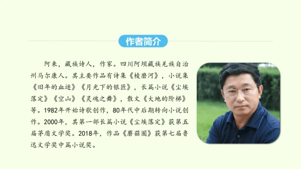 第20课  一滴水经过丽江 统编版语文八年级下册 同步精品课件