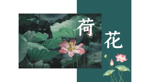 夏雨荷通用PPT模板