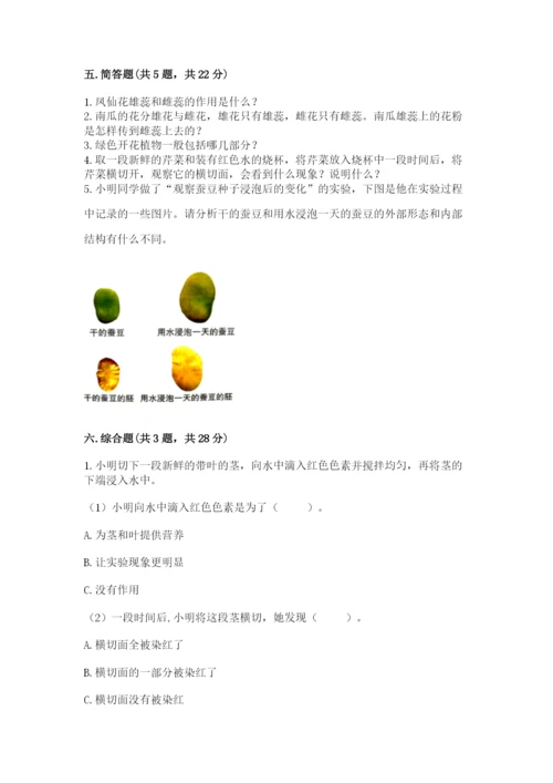教科版四年级下册科学第一单元《植物的生长变化》测试卷word.docx