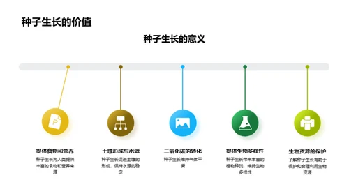 种子生长的奥秘