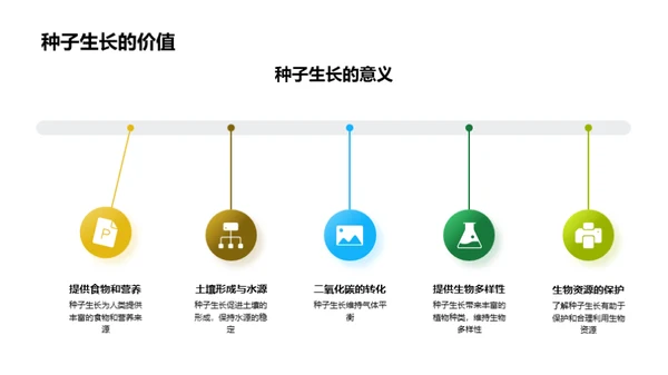 种子生长的奥秘