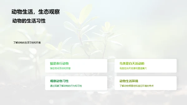 小科学家的生物探秘