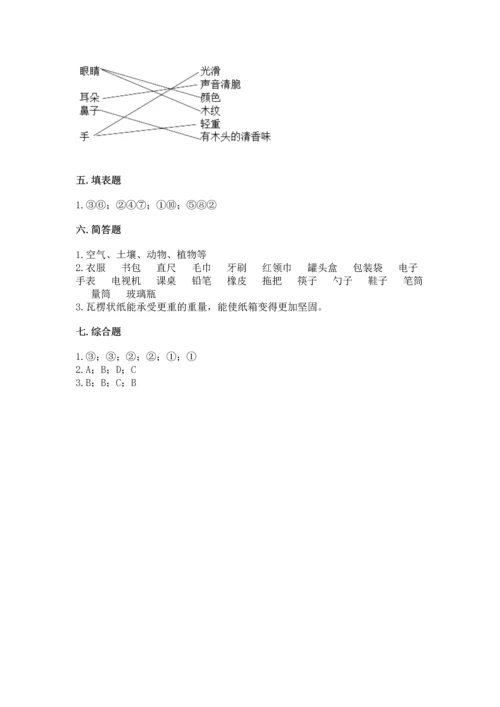 教科版科学二年级上册《期末测试卷》精品【名师系列】.docx