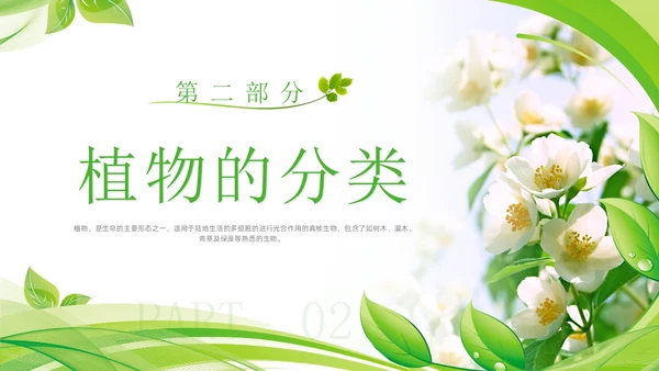 植物介绍简约绿色树叶花卉线条知识科普