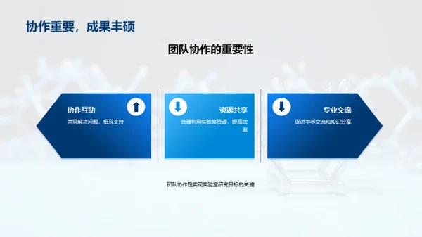 化学研究回顾与展望