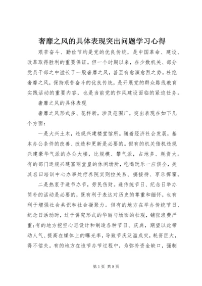 奢靡之风的具体表现突出问题学习心得 (6).docx