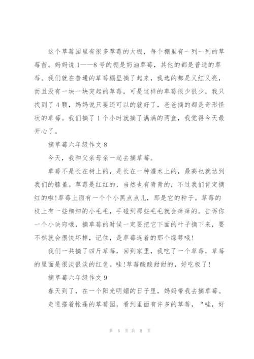 摘草莓六年级作文10篇.docx
