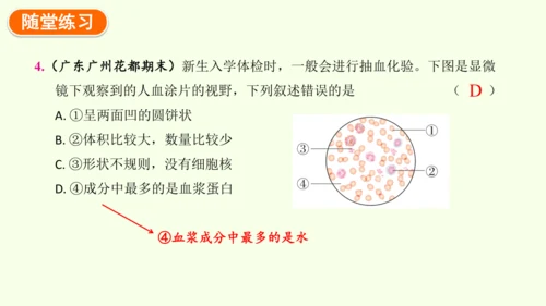 4.4.1流动的组织——血液-七年级生物下学期同步精品课件（2024人教版）(共38张PPT)