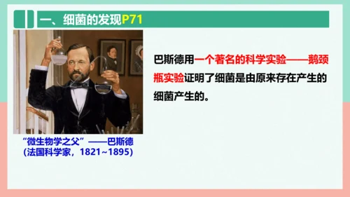 5.4.2  细菌  课件-人教版生物八年级上册(共39张PPT)