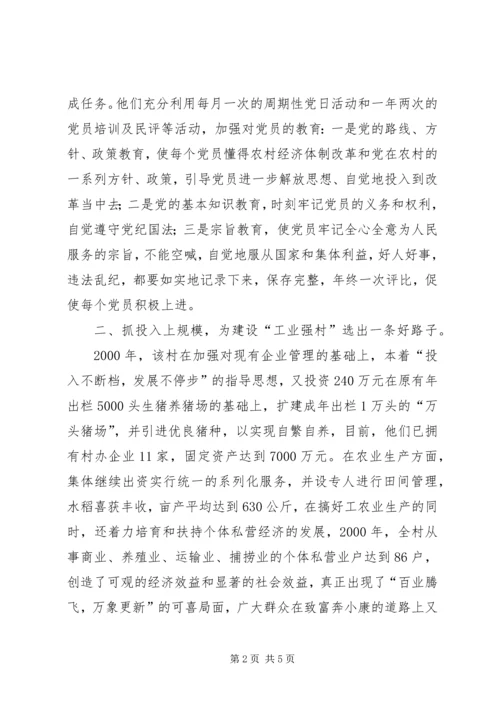 村先进党组织材料.docx