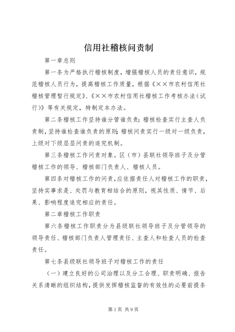 信用社稽核问责制.docx