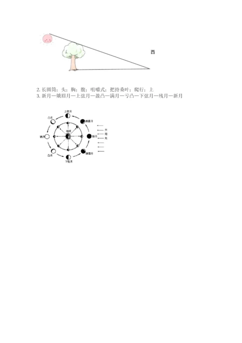 教科版三年级下册科学期末测试卷及参考答案【b卷】.docx