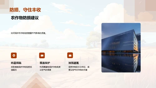 寒露农事指南