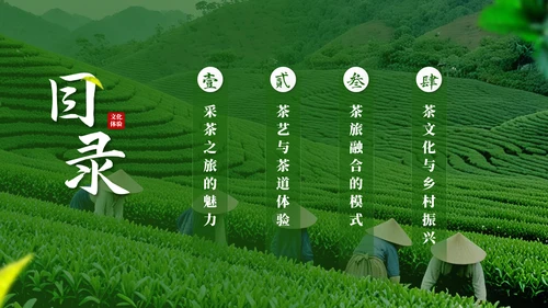茶文化采茶旅游PPT模板_采茶之旅与文化体验报告PPT模板
