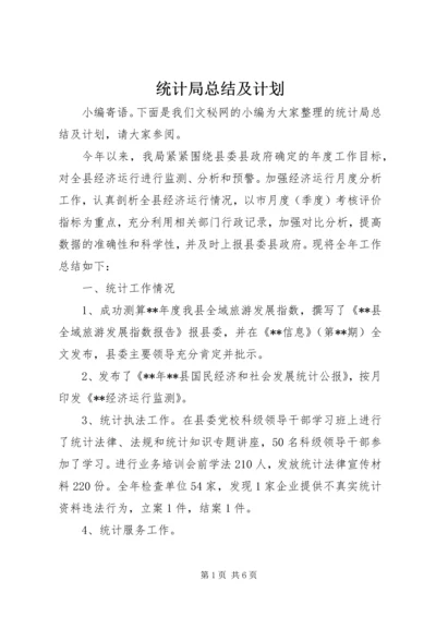 统计局总结及计划.docx