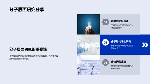 新药研发述职报告PPT模板