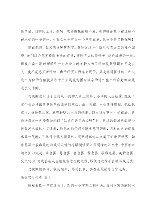 寒假实习报告模板八篇