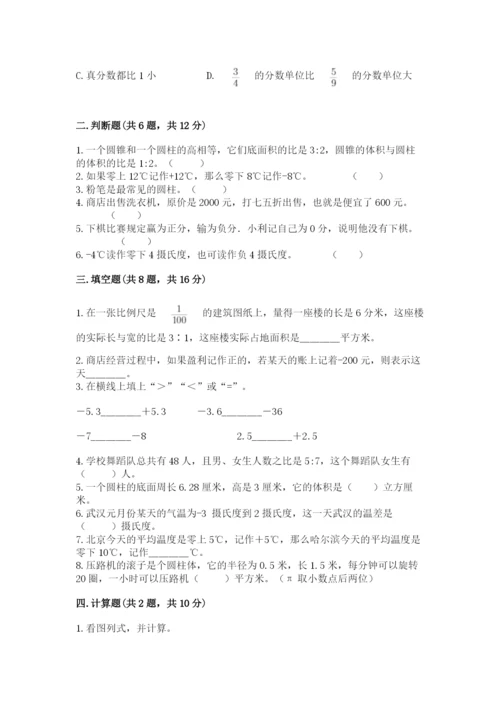 大安市六年级下册数学期末测试卷（精选题）.docx