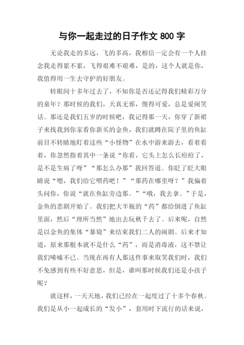 与你一起走过的日子作文800字.docx