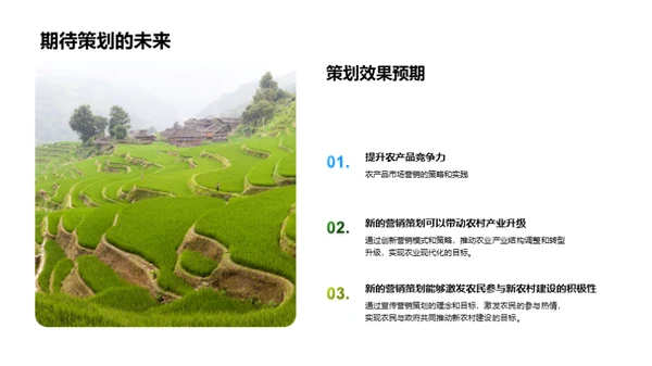 新农村营销策划