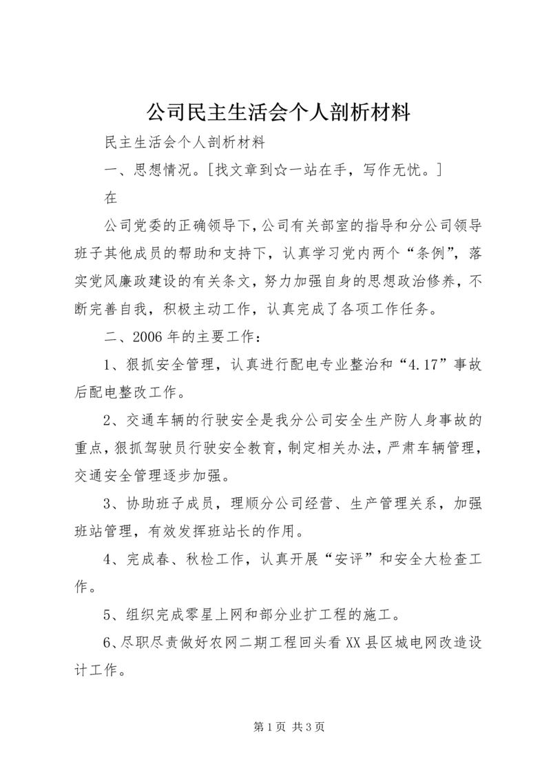 公司民主生活会个人剖析材料 (2).docx