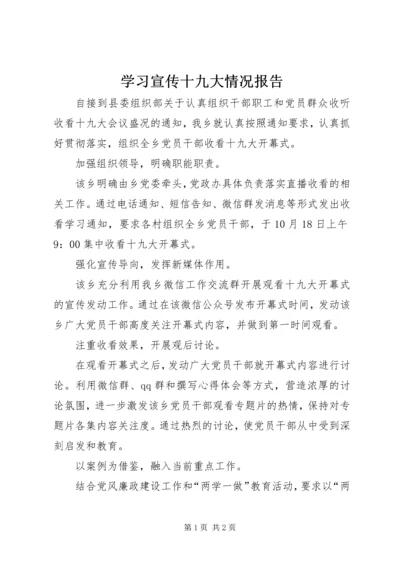 学习宣传十九大情况报告.docx