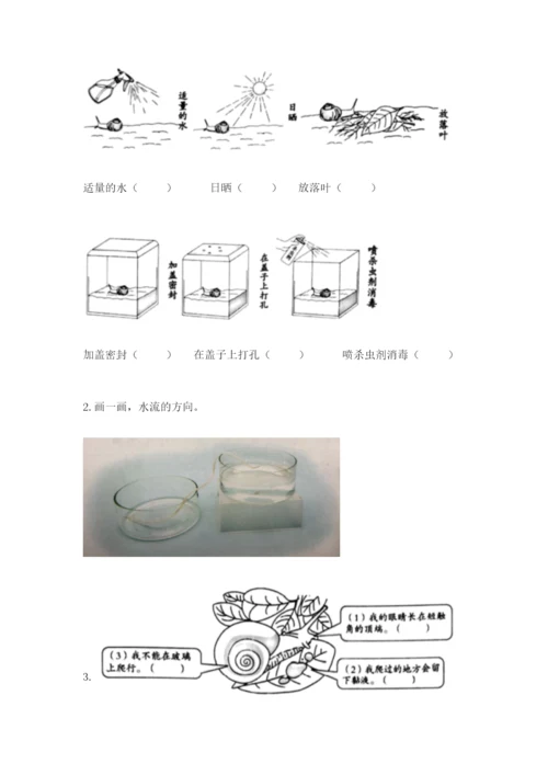 教科版一年级下册科学期末测试卷含答案解析.docx