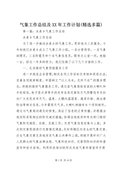 气象工作总结及XX年工作计划(精选多篇).docx