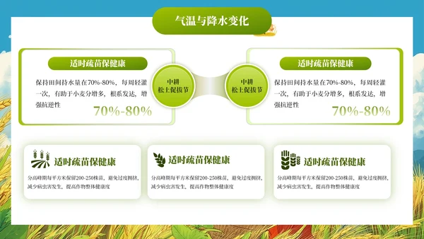 小满节气插画风教育通用模板PPT模板