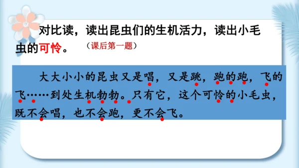 22.小毛虫（第二课时）教学课件