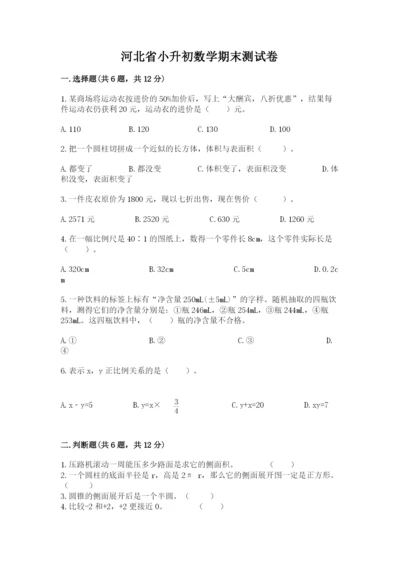 河北省小升初数学期末测试卷（精练）.docx