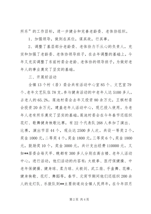 乡镇老龄委、老体协工作总结.docx