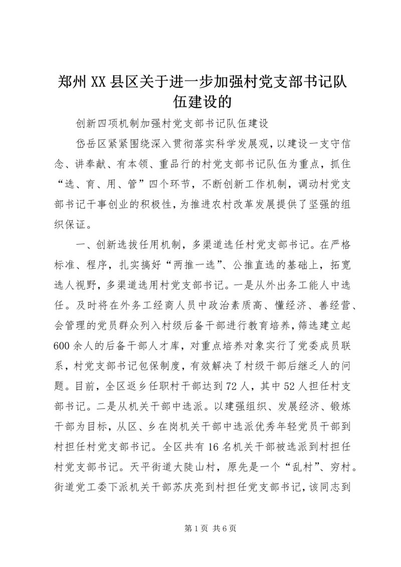 郑州XX县区关于进一步加强村党支部书记队伍建设的_1 (2).docx