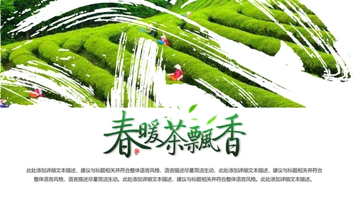 清新绿茶茶文化采茶茶道茶艺茶文化PPT模板