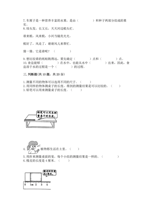 教科版一年级上册科学期末测试卷附完整答案（夺冠系列）.docx