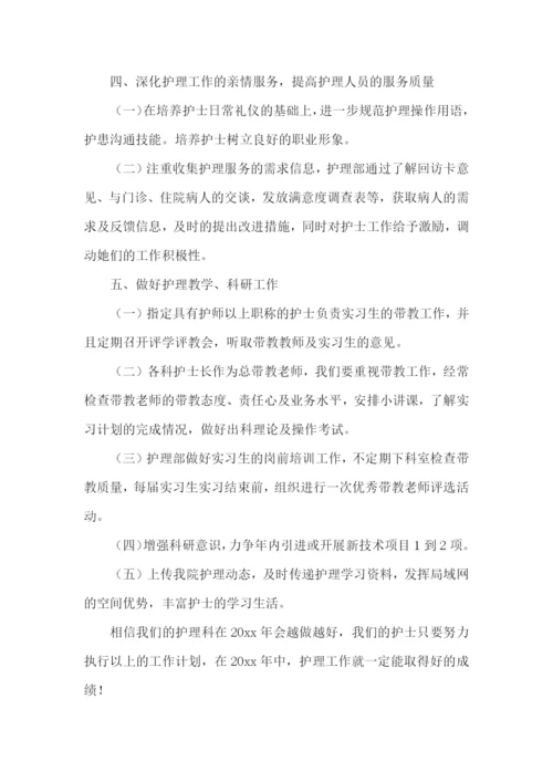 护士工作计划.docx